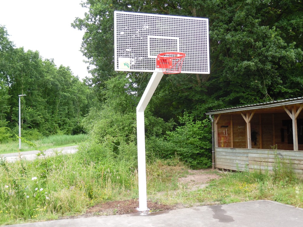 basketbalpaal