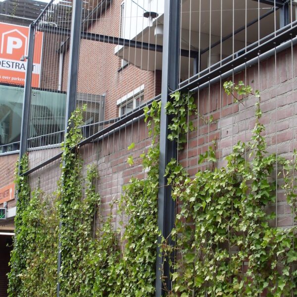 Groeikorf, groeikorven, groengeleiders, lindegeleiders, plantgeleiders, boomgeleiders, groendragers, pergola's, ranksystemen