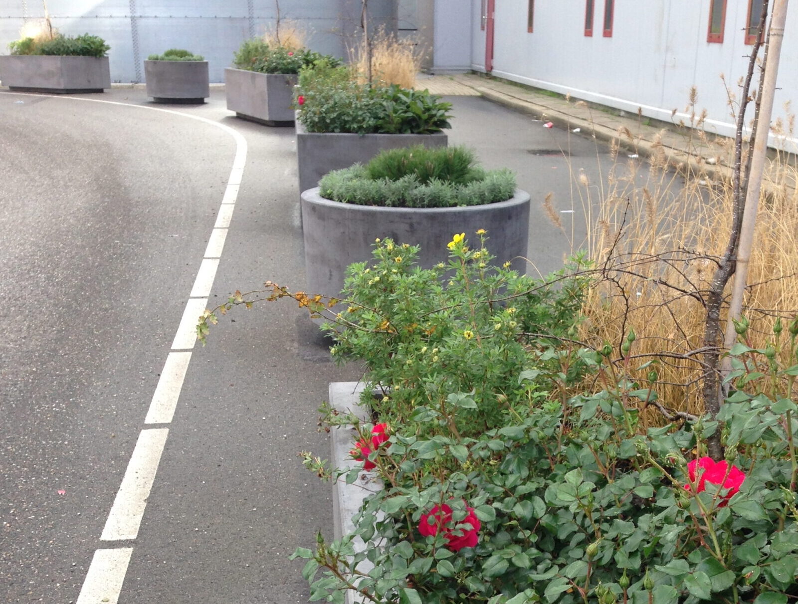 Betonnen bloembakken, betonnen bloembak, bloembakken, vandalismebestendige bloembakken